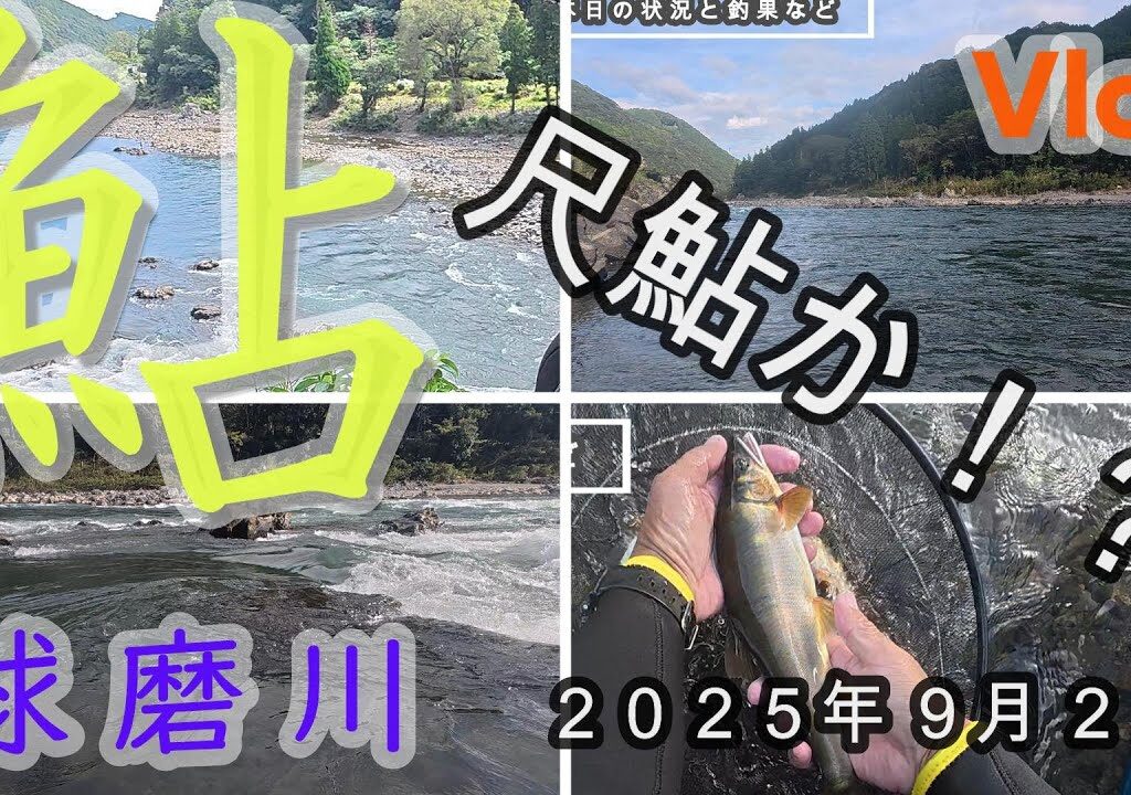 【球磨川】尺鮎か！？　２０２５．９．２３