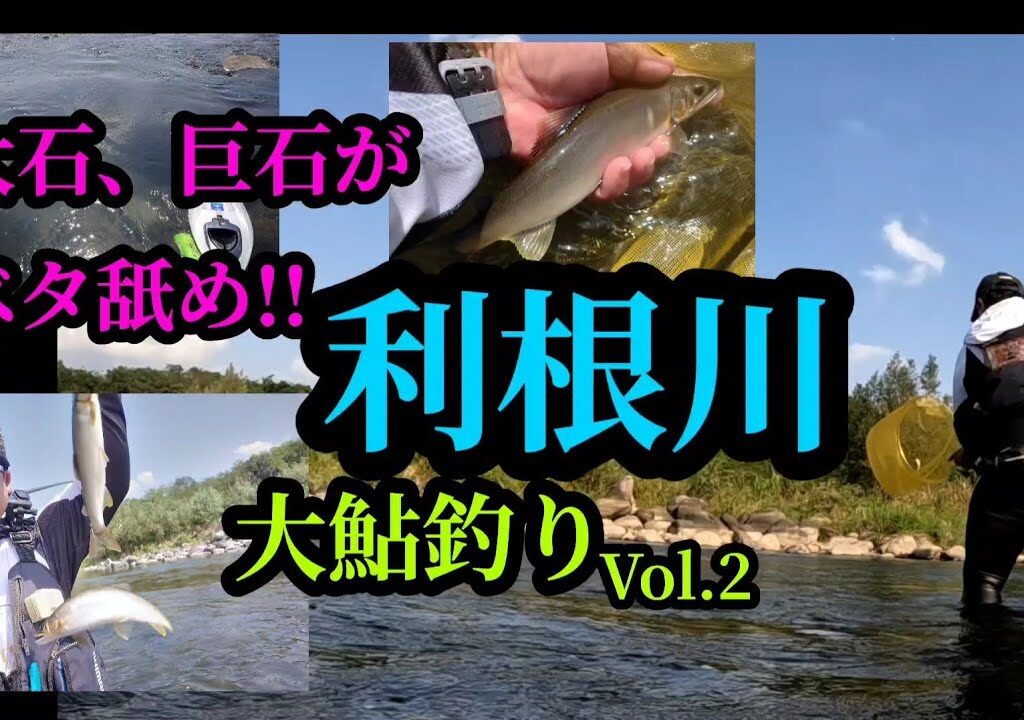 巨石、大石、ベタ舐め。利根川大鮎釣り。