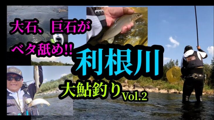 巨石、大石、ベタ舐め。利根川大鮎釣り。