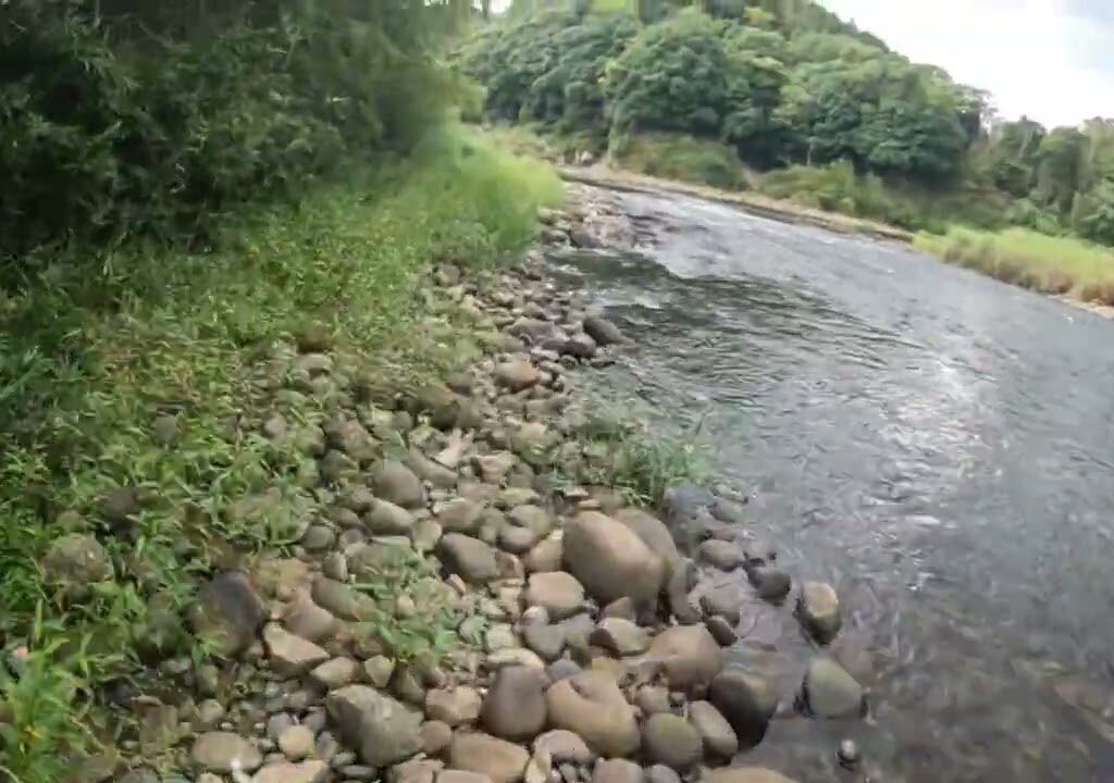 【木津川】スモールマウスバス釣りポイント紹介｜鮎釣りでも有名なスポットを歩いてみた