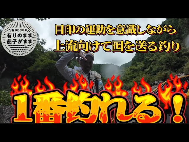 この時期に合う釣り方はコレ！【鮎釣り】