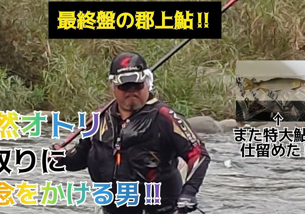 最終盤の郡上鮎‼️天然オトリ取りに執念をかける男‼️また特大鮎を仕留めた‼️