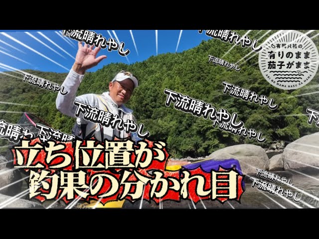 囮を放す位置【鮎釣り】