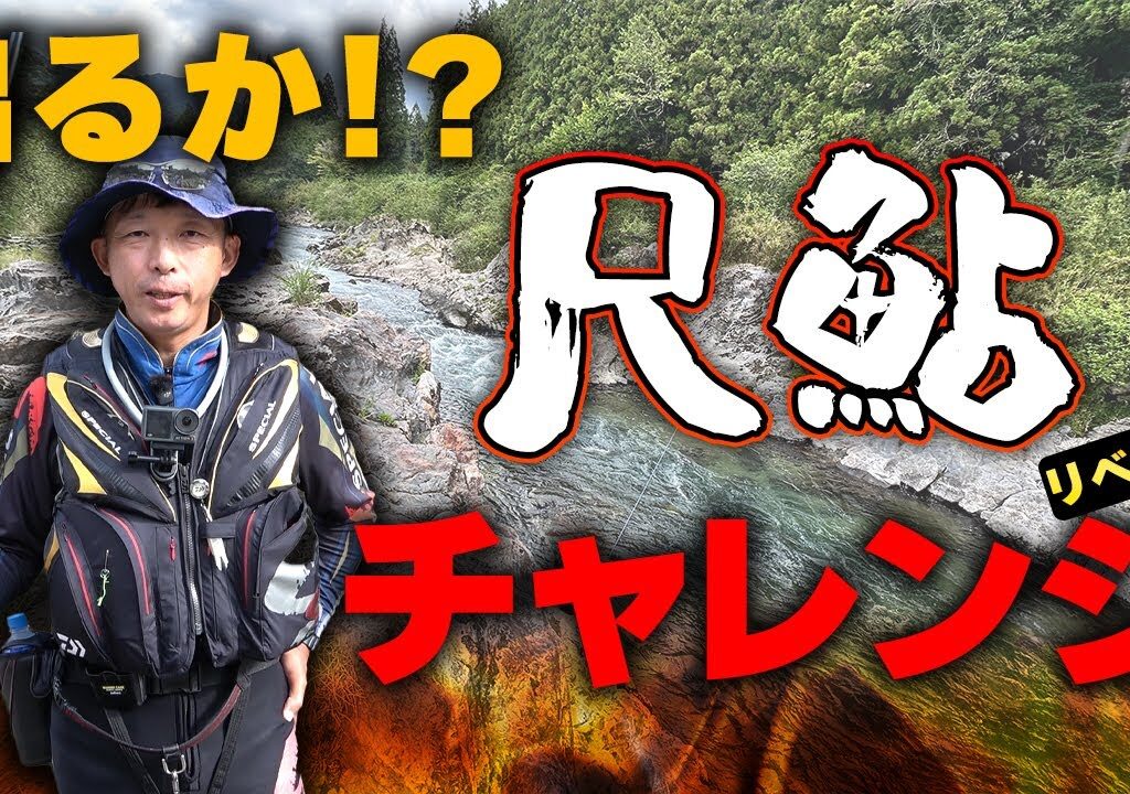 出るか!?尺鮎！！リベンジ尺鮎チャレンジ！【鮎釣り】
