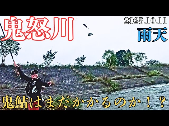 【鮎釣り鬼怒川】まさかの終盤戦！移動と粘りで出逢った奇跡のスーパー鬼鮎。