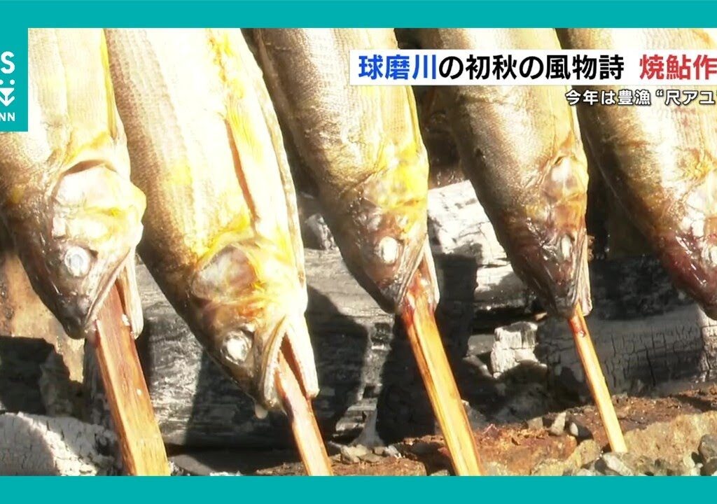 秋の風物詩「焼き鮎」づくり　贈答品にもどうぞ　熊本