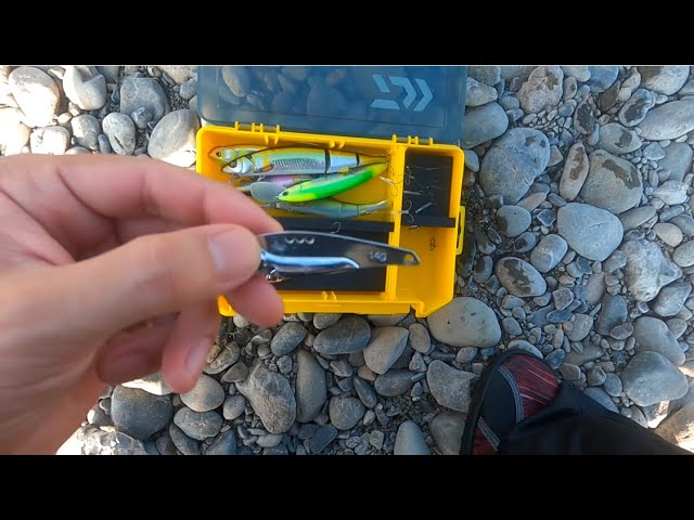 ダイソールアーでアユイング