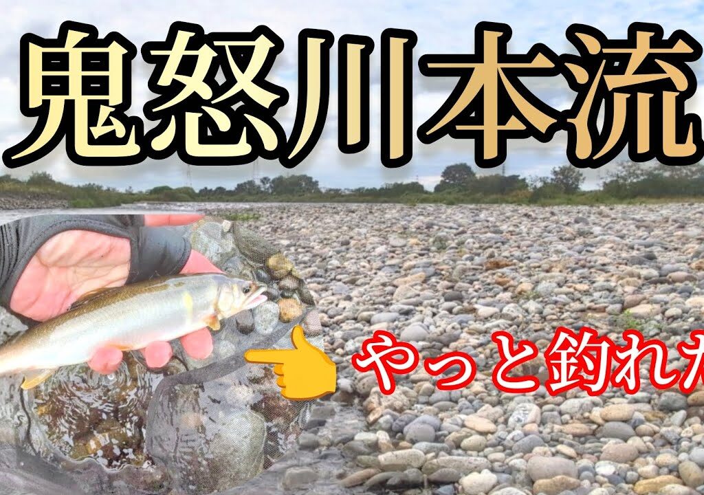 鬼怒川本流鮎釣り　鮎、何とか釣れました！