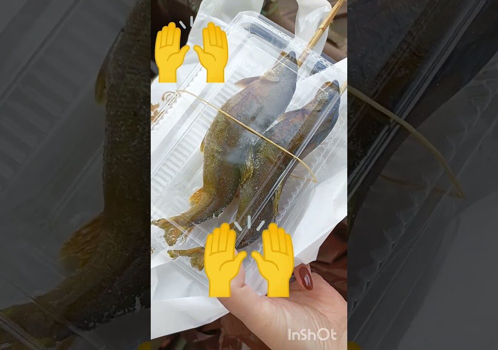 #川魚 #あゆ #鮎 #魚料理 #焼き魚 #林屋川魚店 #栃木県グルメ #淡水魚 #炭火焼き #魚 #魚釣り #子持ち鮎 #アユ #アユ釣り #塩焼き #鮎塩焼 #子持ち鮎