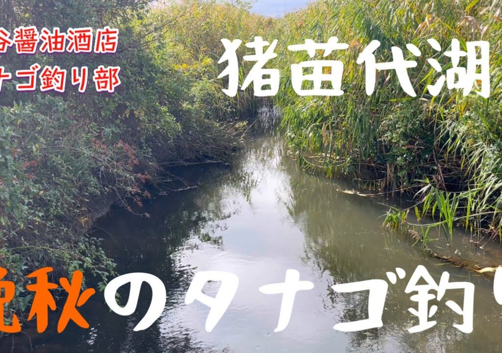 晩秋のタナゴ釣り（猪苗代湖）