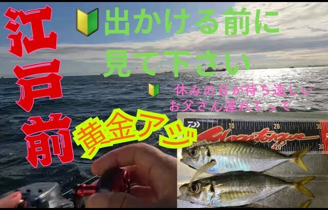 【２０２５年１０月１７日　江戸前　黄金アジ釣りの釣行】