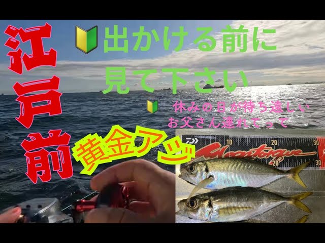 【２０２５年１０月１７日　江戸前　黄金アジ釣りの釣行】