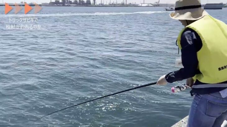 茨城県鹿島港(魚釣園)サビキ釣り