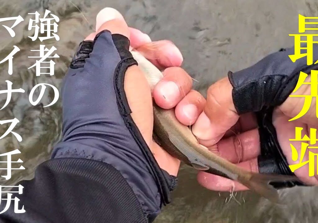 鮎釣り 新常識？終盤に若い鮎が釣れる意外なエリア／矢作川