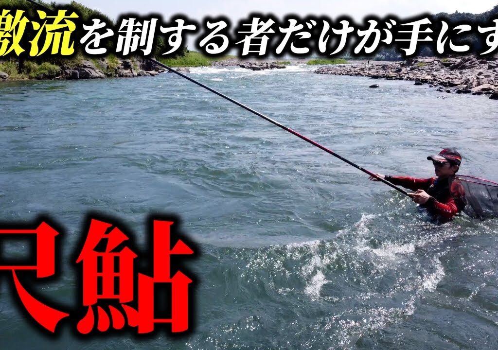 球磨川「尺鮎一本勝負!!」