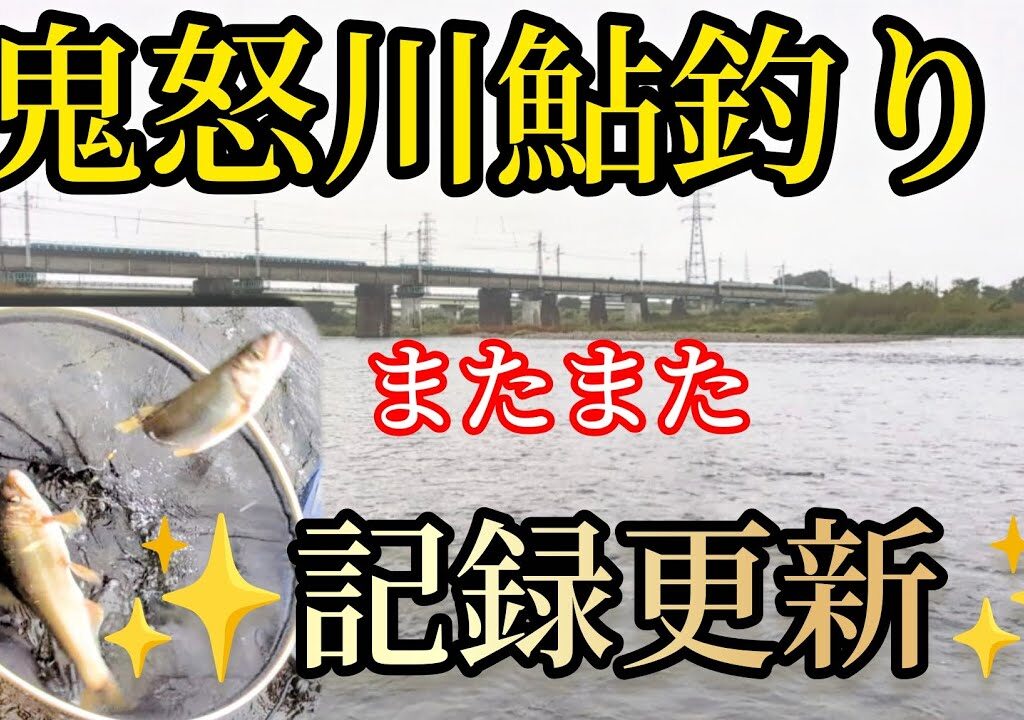 鬼怒川本流鮎釣り　雨の中凄く寒かったけど、頑張った甲斐があった！！