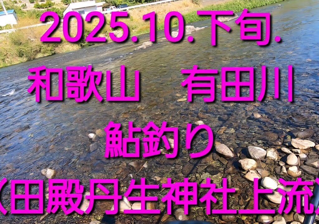 いよいよ、終盤の鮎釣り@和歌山　有田川（田殿丹生神社上流）