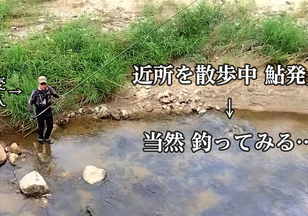 鮎釣り　近所の小川で泣きの一回。