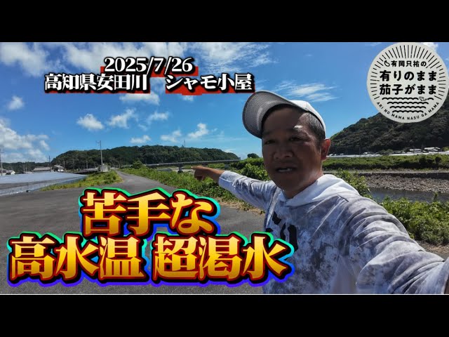 ［連続ドラマ］アンパン観すぎで土佐弁が汗【鮎釣り】