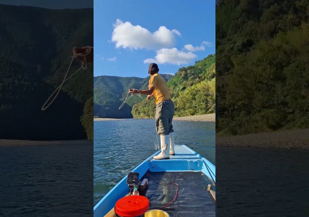 船うち投網でくだり鮎をふせました！ #四万十川 #川漁師 #投網