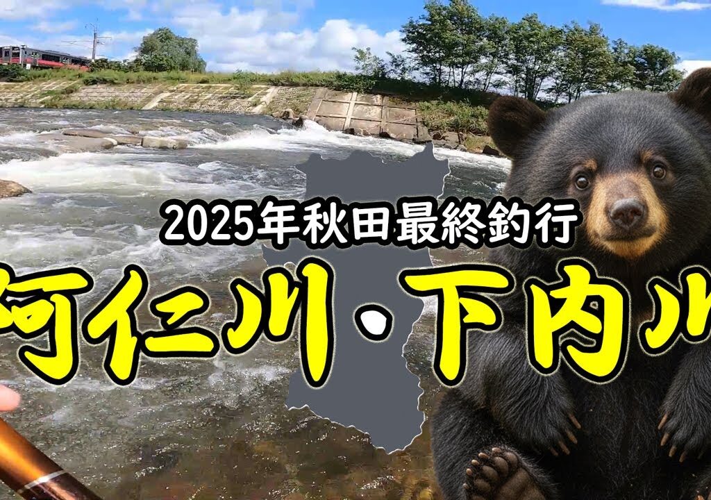 【鮎釣り】 命運を分けた2つの川、 阿仁川の洗礼と下内川の祝福｜秋田最終遠征～｜