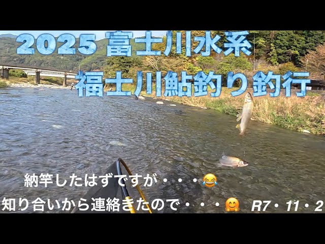 2025 富士川水系福士川鮎釣り釣行
