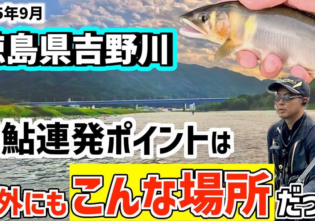 【鮎釣り2025】ここで尺鮎連発したってマジ⁉︎初めての徳島県吉野川で有名ポイントに入ってみた！