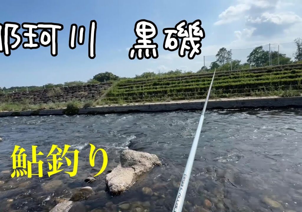 那珂川の釣り人も青藻も少ない場所で鮎釣り