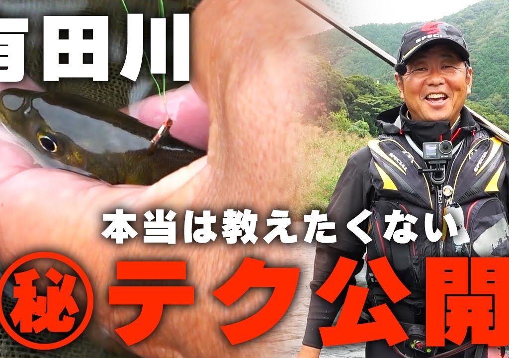 オトリ鮎の元気がない時はコレをして下さい。※㊙テクです