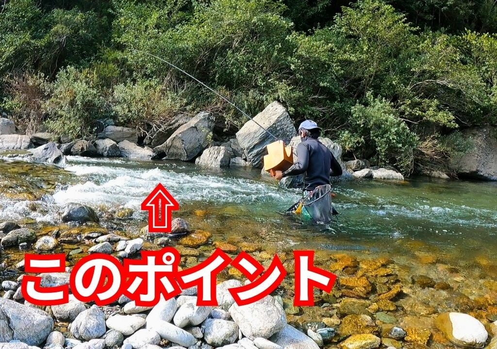 鮎釣り終盤！デカ鮎に翻弄された１日