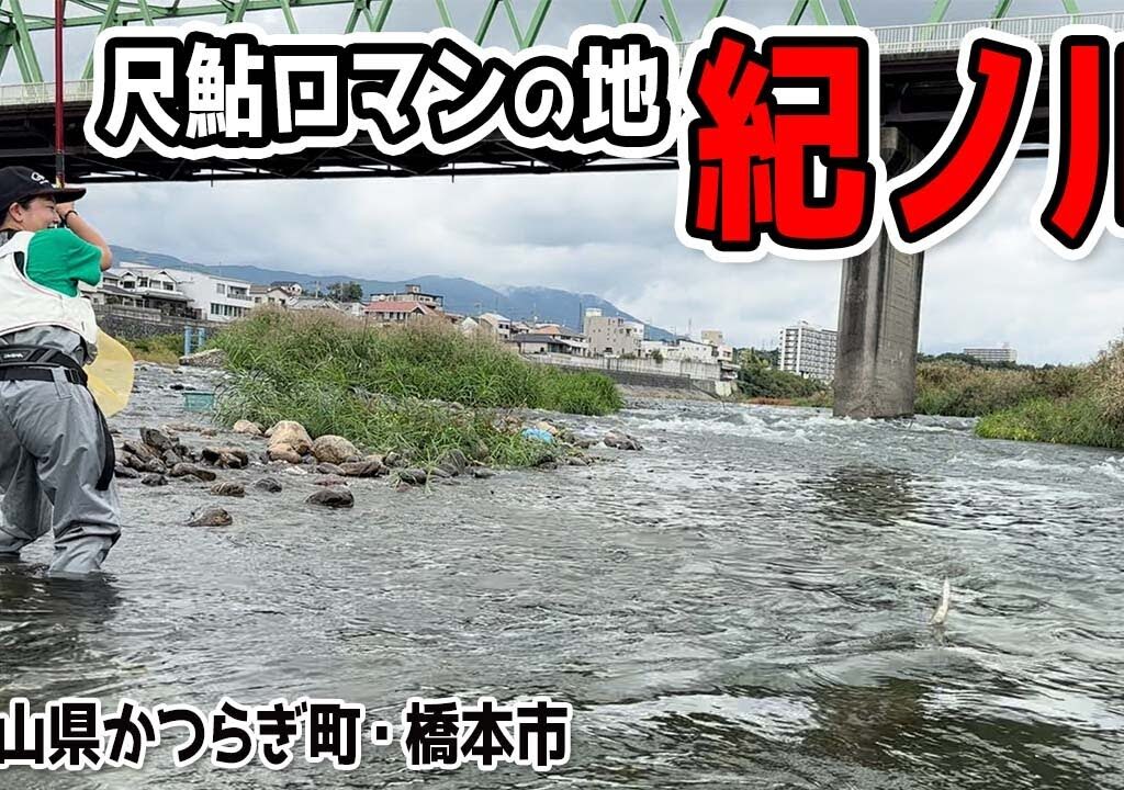 ついに尺鮎！？友釣り初心者女子が一級河川紀ノ川で大物と対決しました（和歌山県かつらぎ町・橋本市）