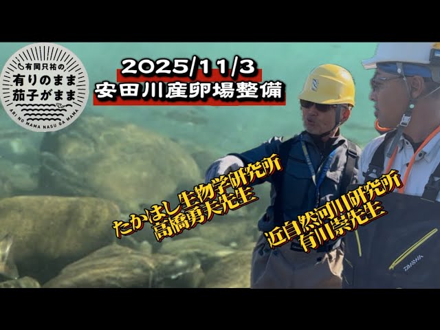 大量遡上間違いなし！【鮎釣り】