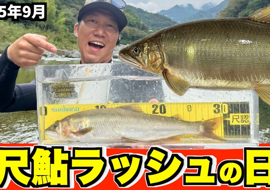 【鮎釣り2025】怒涛の尺鮎ラッシュ！四国吉野川 1日で4匹の尺が出た奇跡の日