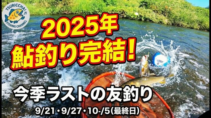 【鮎釣り】「また来年」と言えるように。2025年シーズン最後の竿納め。