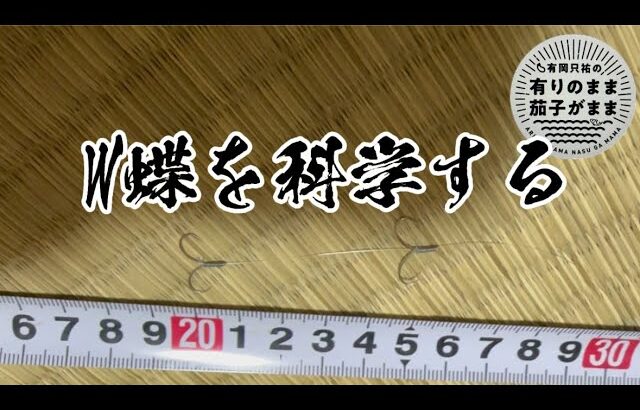 使った事がないW蝶針【鮎釣り】