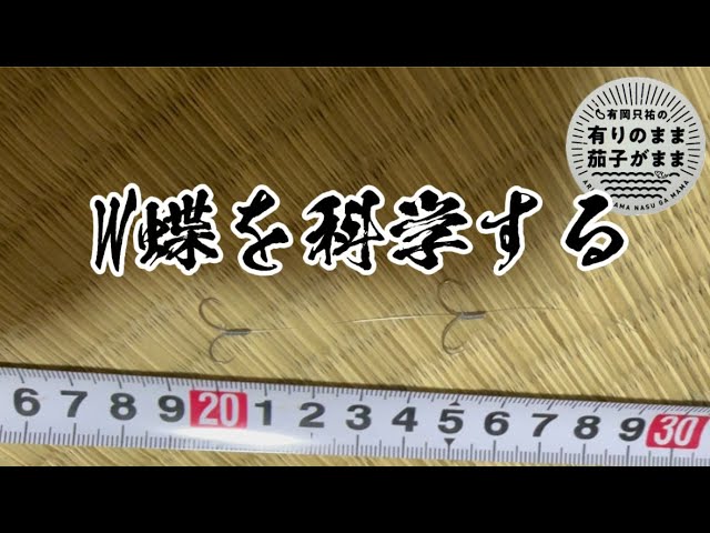 使った事がないW蝶針【鮎釣り】