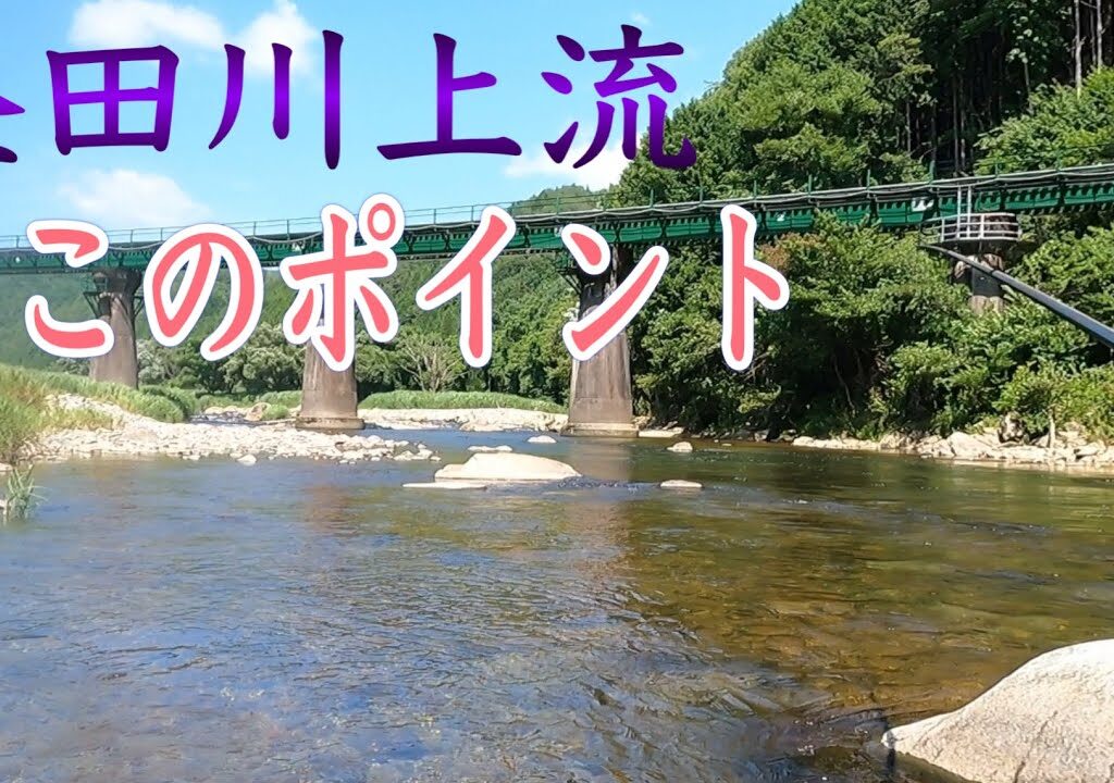 益田川上流　絶好調でしたね