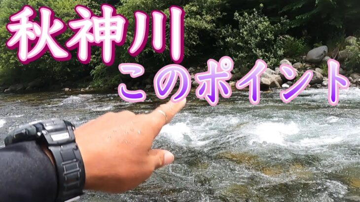 岐阜の河川がどこも増水だったので秋神川に行きました