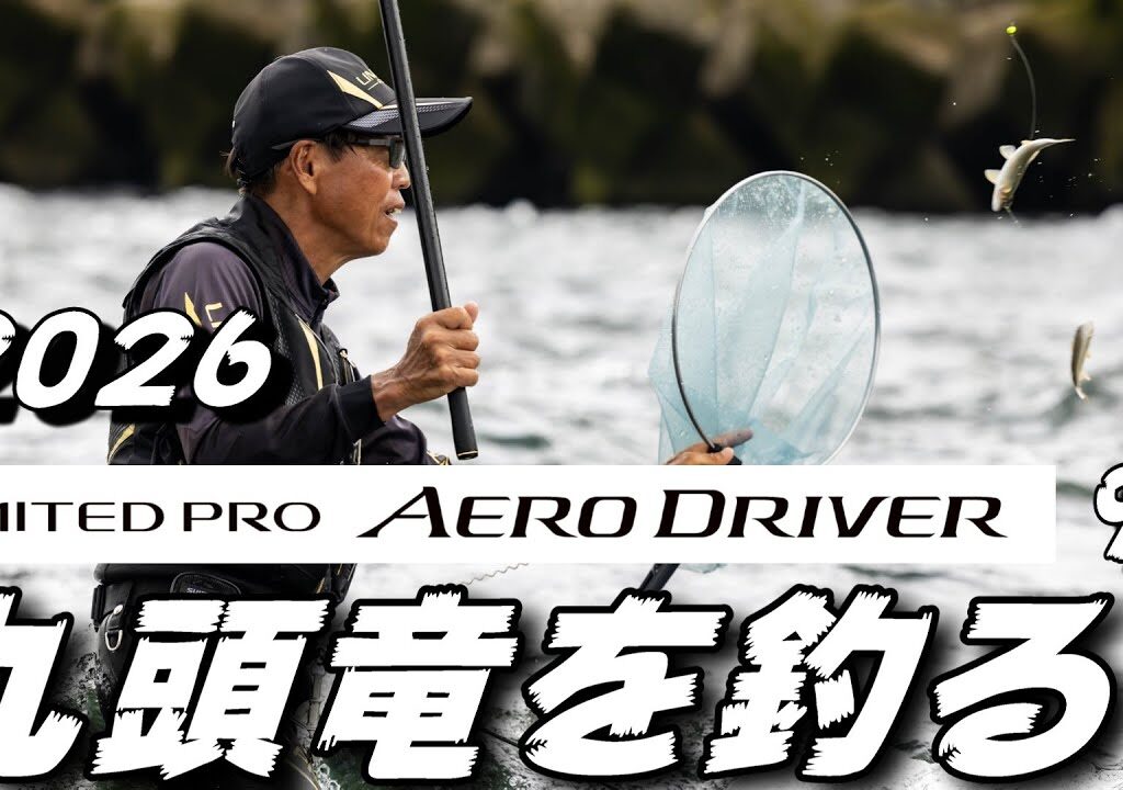 鮎釣り 2026シマノ新製品リミテッドプロエアロドライバー90 10月7日 25㎝高引水 鳴鹿堰堤下  笠川オトリ前 九頭竜川 2025年