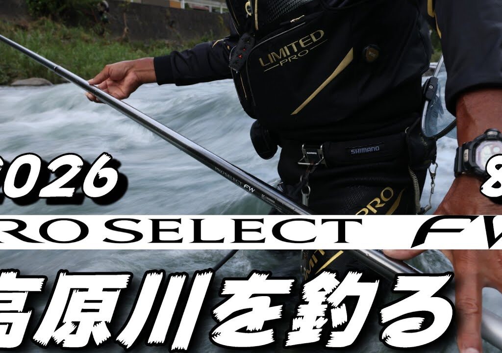 鮎釣り 2026シマノ新製品プロセレクトFW 85 8月9日 平水垢良好 舟津橋下流 高原川 2025年