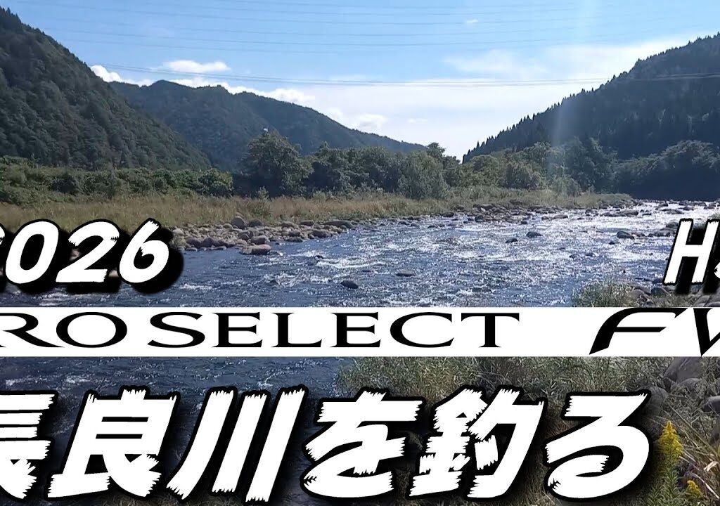 鮎釣り 2026シマノ新製品プロセレクトFW H85 10月8日 10 ㎝高引水 長滝橋下 長良川 2025年