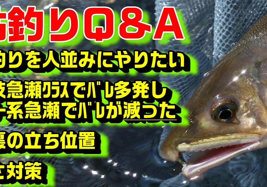 鮎釣り質問 A-3 2026年1月30日 鮎釣りに関する質問はこちらから  https://youtu.be/WaTUxhQ9Oxg
