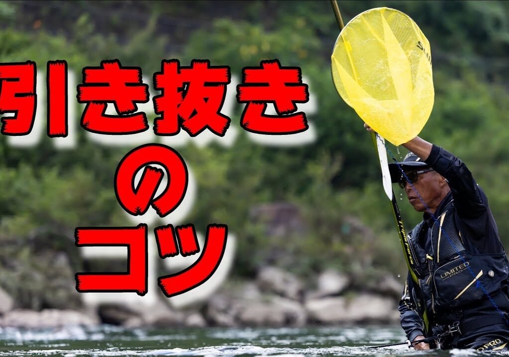 鮎釣りの引き抜き（取り込み）のコツ