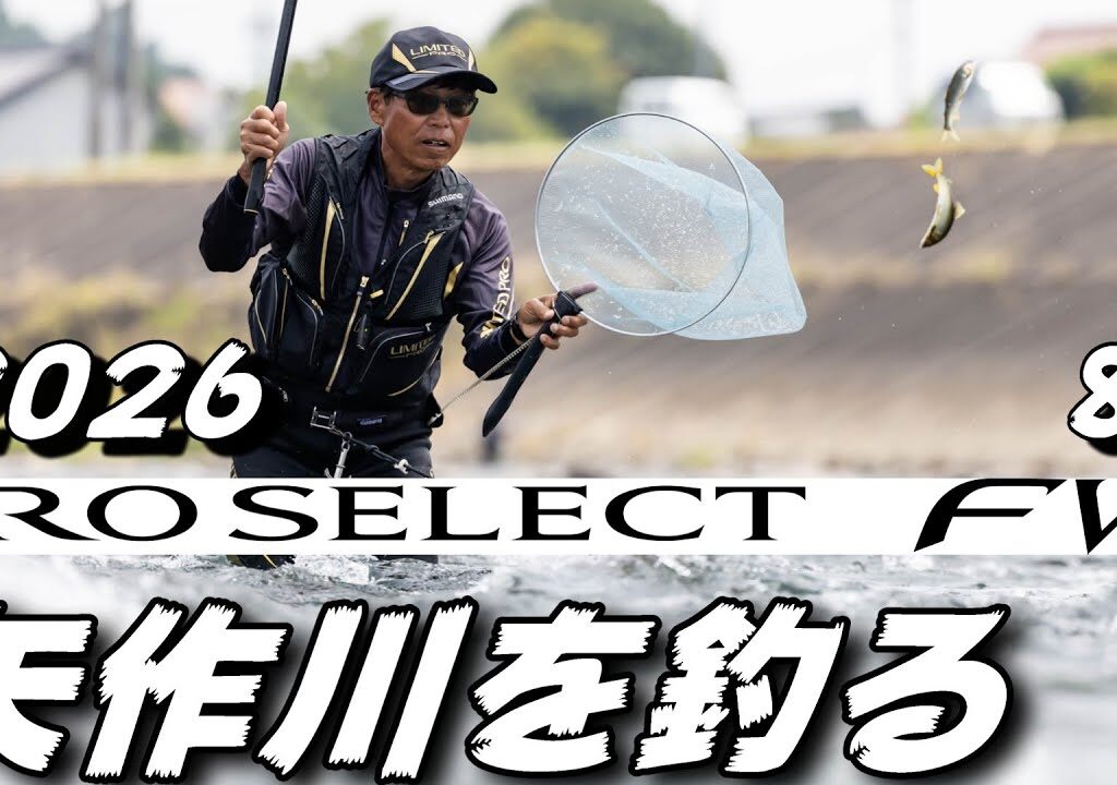 鮎釣り 2026シマノ新製品プロセレクトFW 85 10月2日 10cm渇水 富田の瀬 広梅橋下流 矢作川 2025年