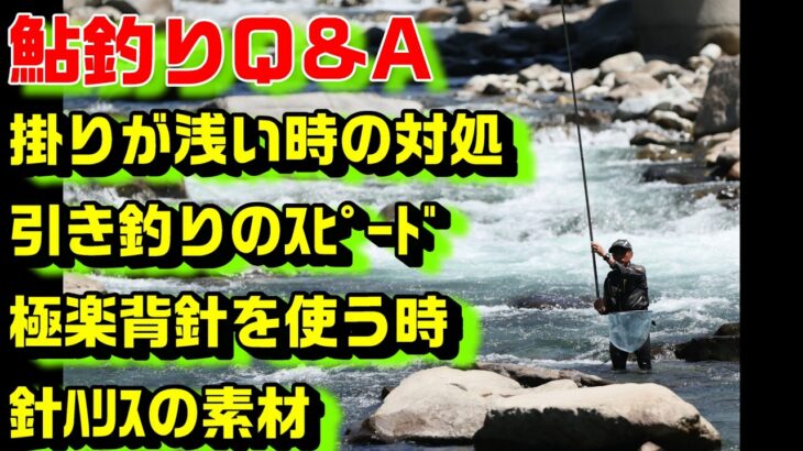 鮎釣り質問 A-13 2026年2月12日 鮎釣りに関する質問はこちらから  https://youtu.be/WaTUxhQ9Oxg