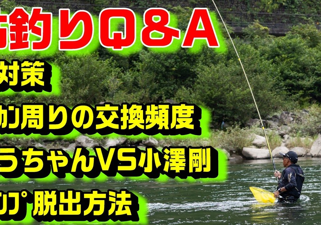 鮎釣り質問 A-19 2026年2月19日 鮎釣りに関する質問はこちらから  https://youtu.be/WaTUxhQ9Oxg