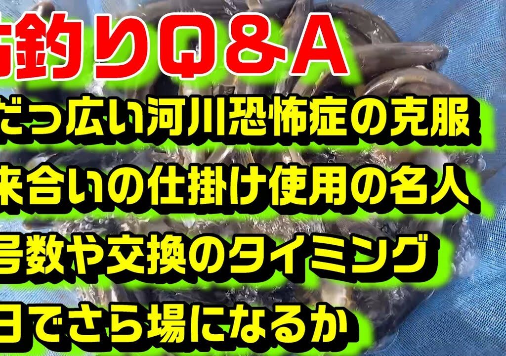 鮎釣り質問 A-5 2026年2月3日 鮎釣りに関する質問はこちらから  https://youtu.be/WaTUxhQ9Oxg