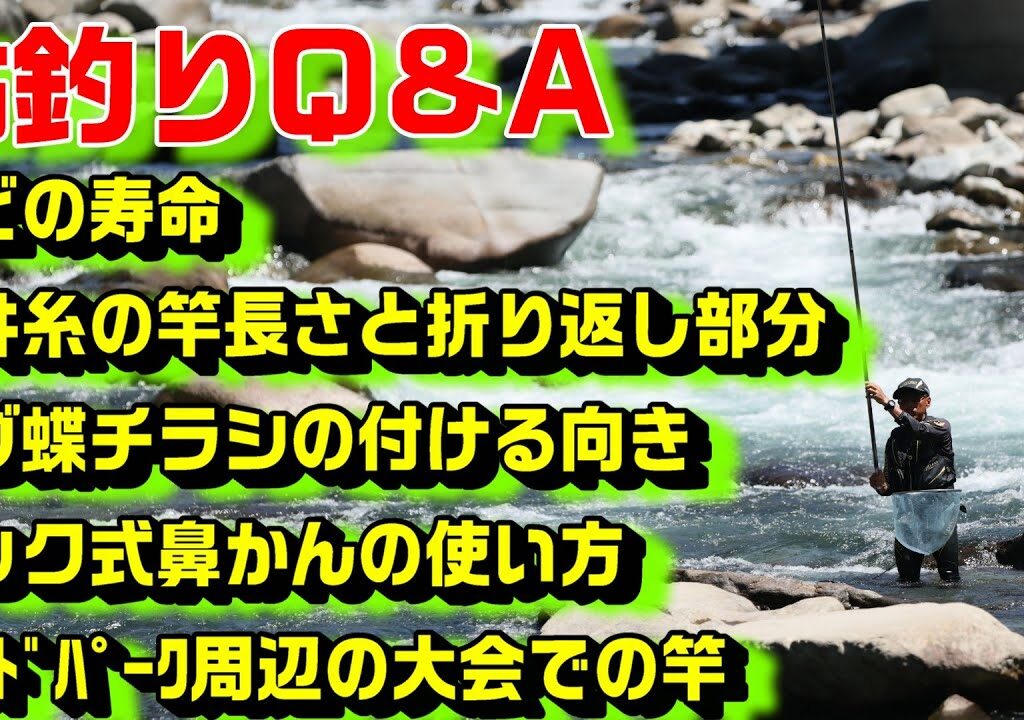 鮎釣り質問 A-6 2026年2月4日 鮎釣りに関する質問はこちらから  https://youtu.be/WaTUxhQ9Oxg