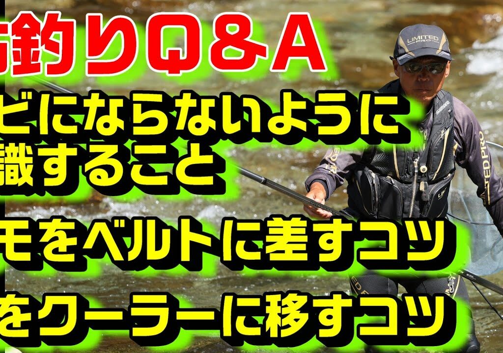 鮎釣り質問 A-8 2026年2月6日 鮎釣りに関する質問はこちらから  https://youtu.be/WaTUxhQ9Oxg