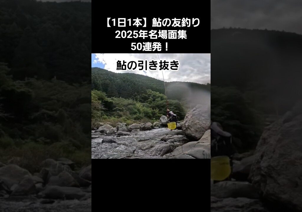 NO46 良型アユを引き抜く！#鮎釣り#鮎の友釣り#turizuki #shorts